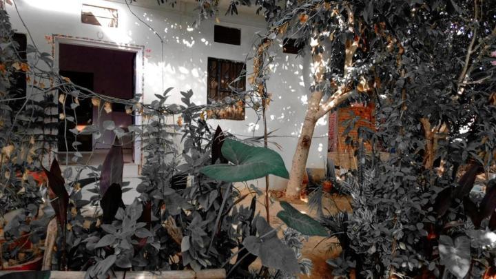 Hotel The Pushkar Flower Esterno foto