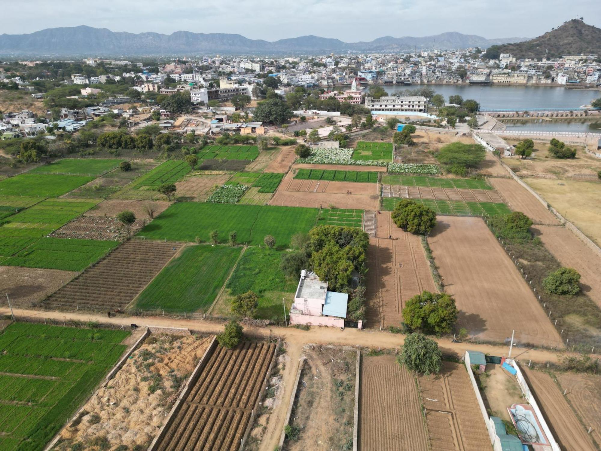 Hotel The Pushkar Flower Esterno foto